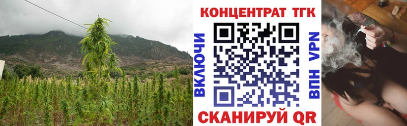 Купить где  Терек  ТГК вейп с тгк 