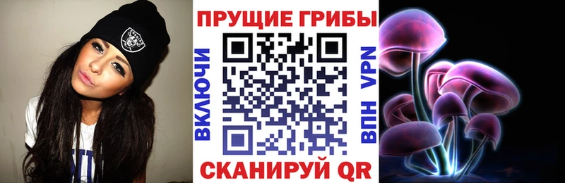 Купить  Терек  Галлюциногенные грибы MAGIC MUSHROOMS 